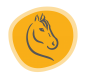 Mobile Preview: meine biotik Fohlen & Pony Icon